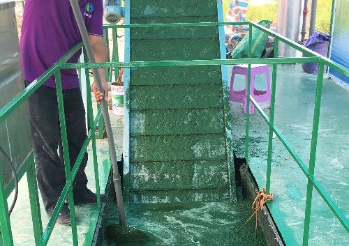 藻水分离船 2 20170817.jpg